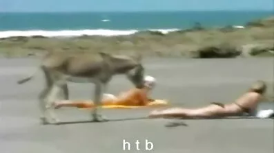 Blond ung flicka jävla hårt på porrfilm på nätet sängen